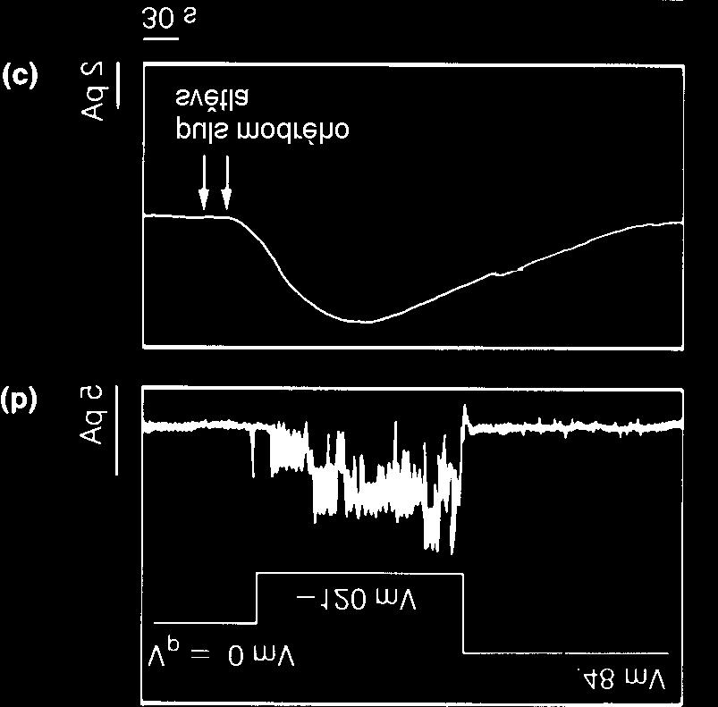 A - přisátí kapiláry k protoplastu (a), protržení (b) nebo odtržení (c) části plasmatické membrány pro dva různé způsoby měření.