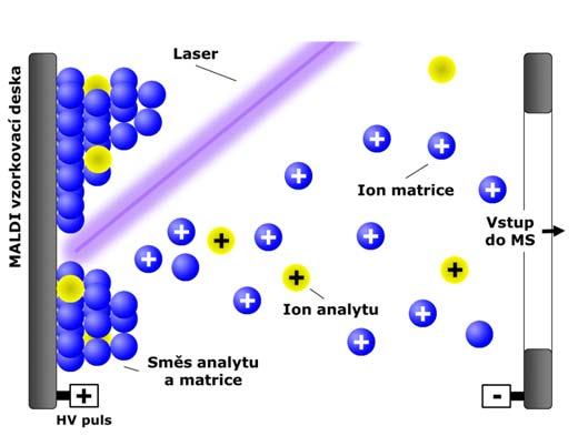 MC230P75 MC230P83 Vysokoúčinná Hmotnostní kapalinová detekce chromatografie v separačních s hmotnostní metodách, detekcí, 2018 2007/2008 Ionizace laserem za účasti matrice - MALDI Karas, M.