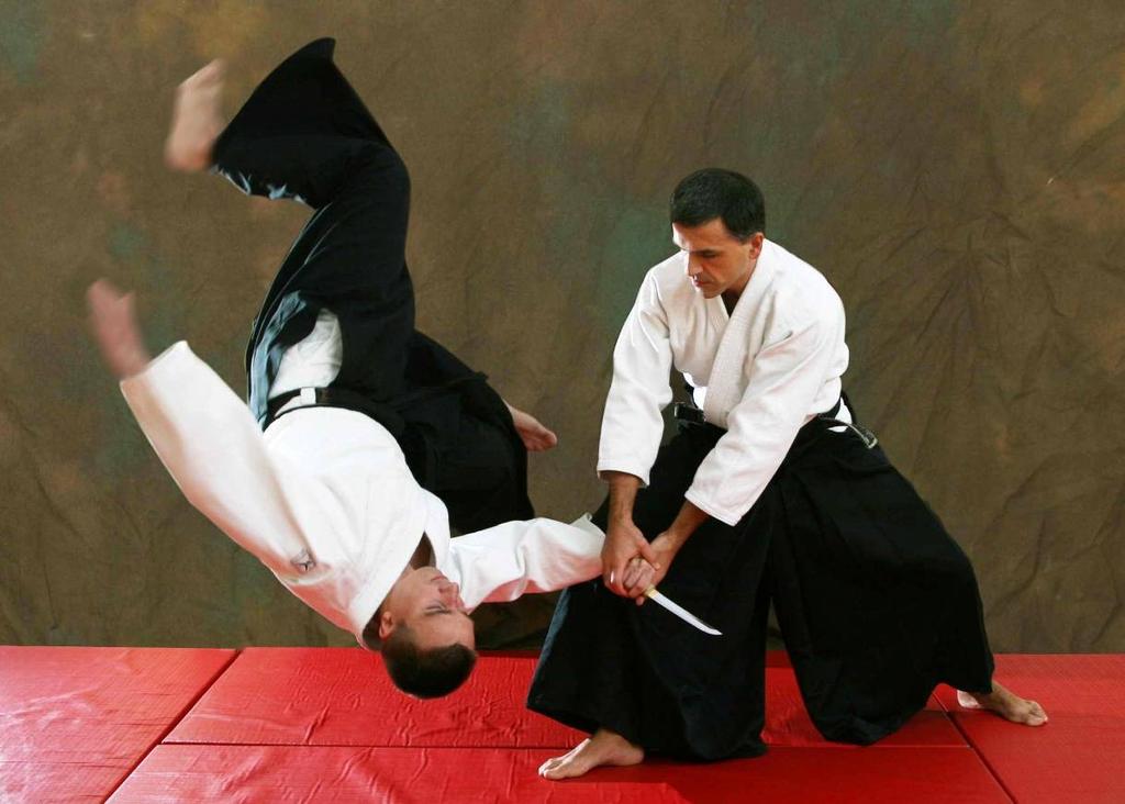 UTB ve Zlíně, Fakulta aplikované informatiky 41 Obr. 16 Bojové umění Aikidó [11] 3.1.2 Kung-Fu Nejznámější bojová umění Asie a bezpochyby i zbytku světa se stalo Kung-Fu.