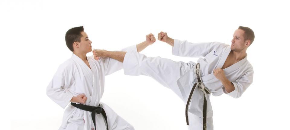 UTB ve Zlíně, Fakulta aplikované informatiky 48 Obr. 21 Bojový sport Karate [20] 3.
