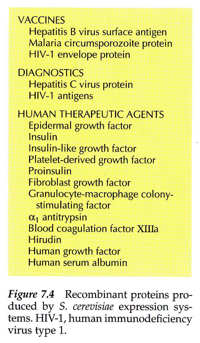 Figure 7.4 Recombinant proteins produced by S.