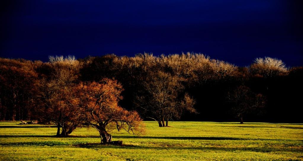 se silným geniem loci - jedinečná archeologická