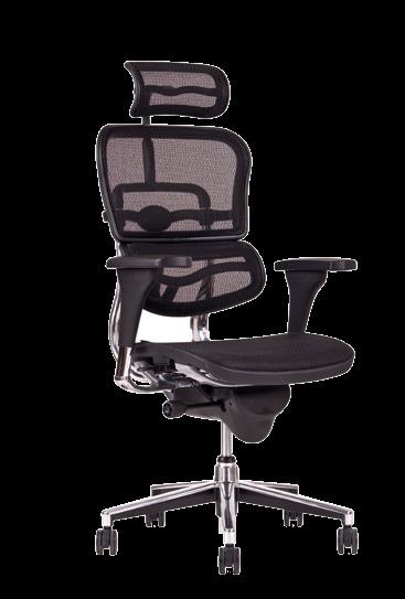 Považujete top kvalitu, jednoduché a zároveň komplexní ovládání židle za standard? Přejete si židli v originálním designovém řešení?