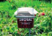 DROSAL - potravní lapák potravní atraktant přírodní složky Novinka Působení: Lapák k monitoringu výskytu škůdce Drosophila suzukii.