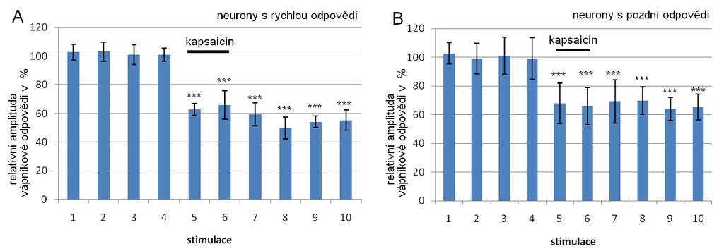 (B). Aplikace kapsaicinu o koncentraci 1,5μM. Graf 13. Snímání při stimulaci s délkou pulzu 0,5ms.