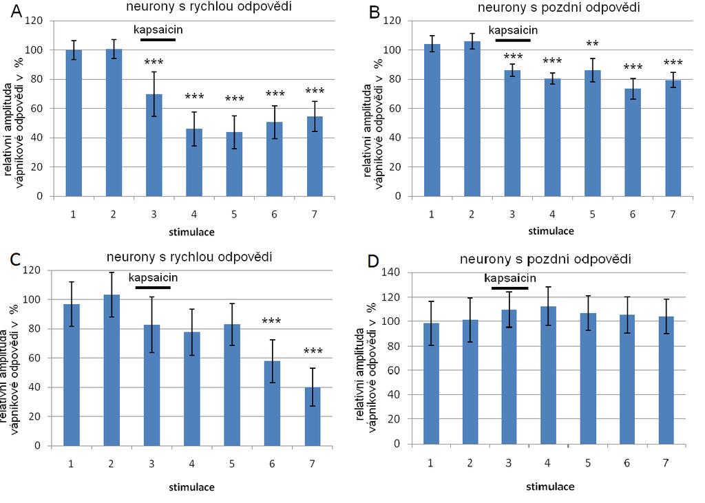 Graf 22. Snímání při stimulaci s délkou pulzu 0,5ms (A a B) a 0.1ms (C a D). Průměrné hodnoty amplitud neuronů s rychlou odpovědí n=10 (A a C) a neuronů s pomalou odpovědí n=15 (B a D).