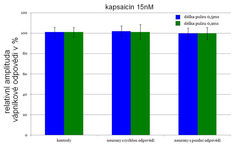 odpovědí po podání kapsaicinu (62nM) a délce pulzu