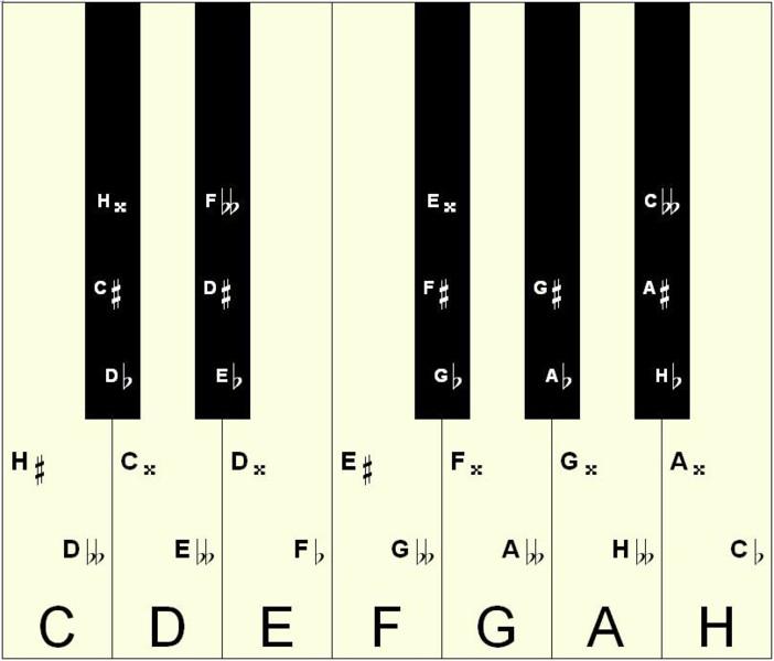 2.4 Celý tón a půltón, tóny enharmonické, enharmonická záměna Základních a odvozených tónů je v jedné oktávě celkem třicet pět. My však rozlišujeme pouze dvanáct různých tónových výšek.
