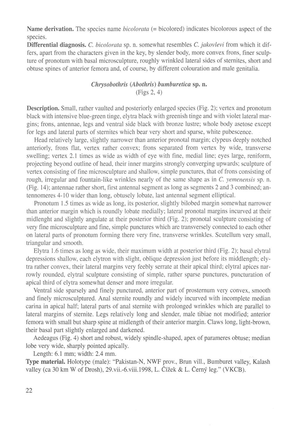 Name derivation. The species name bicolorata (= bicolored) indicates bicolorous aspect of the species. Differential diagnosis. C. bicolorata sp. n. somewhat resembles C.