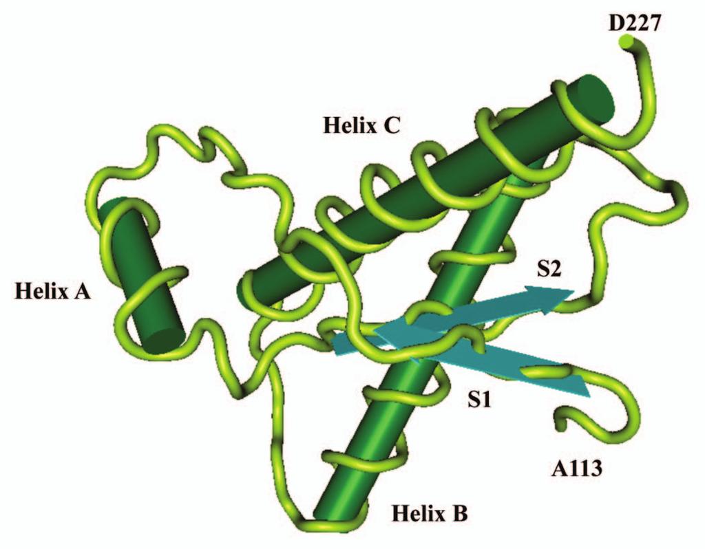 Figure 1. Three-dimensional (3D) structure of human PrP. The structure of the α-helical form of rprp(90 231) resembles that of PrP C.
