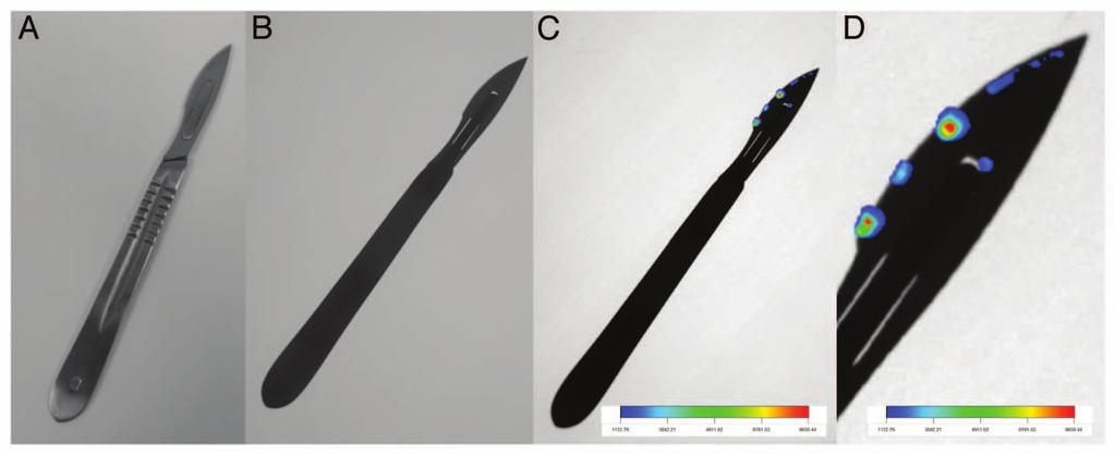 Figure 4. Sensing of prion protein complex with quantum dots on the surface of a scalpel.
