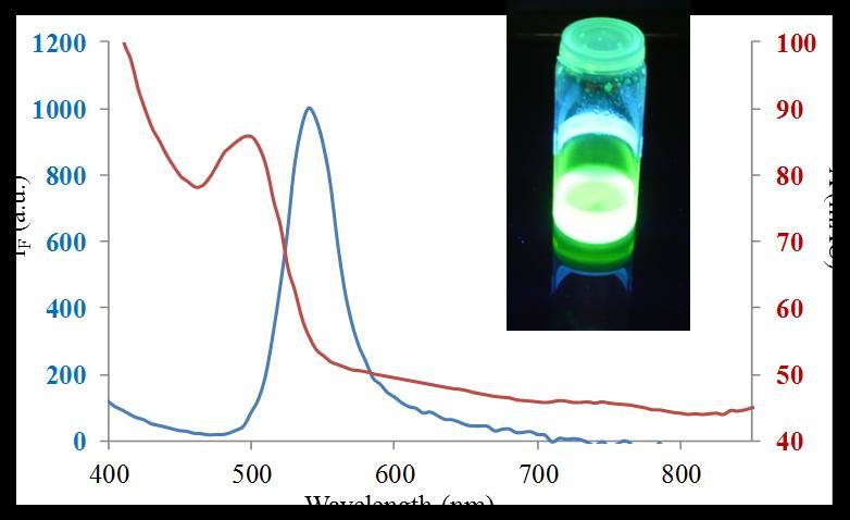 Int. J. Mol. Sci. 2013, 14 13499 fluorescence with the emission maximum at 525 nm. In the following parts of our experiments, we aimed our attention at their electrochemical characterization.