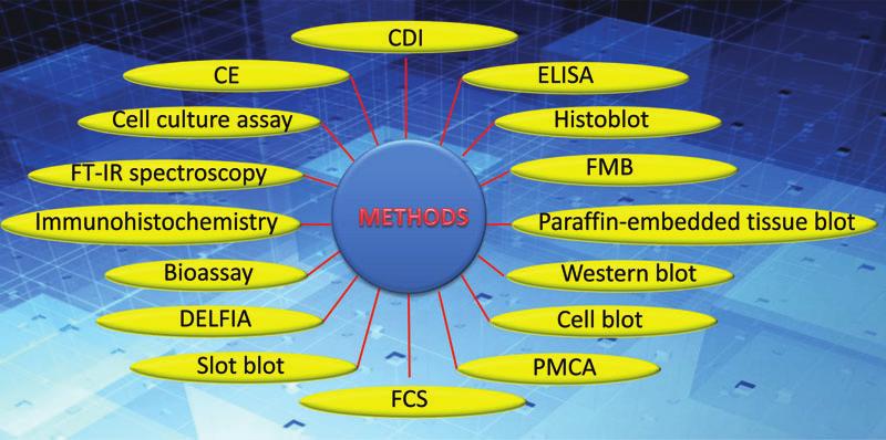 Electrophoresis 2012, 33, 3644 3652 CE and CEC 3647 Figure 1.