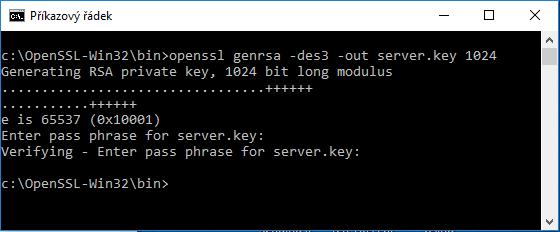Heslo můžete použít libovolné, ale poznamenejte si ho. V dalších krocích ho sice z klíče odstraníte, ale budete ho k tomu potřebovat. Vytvoří se soubor server.