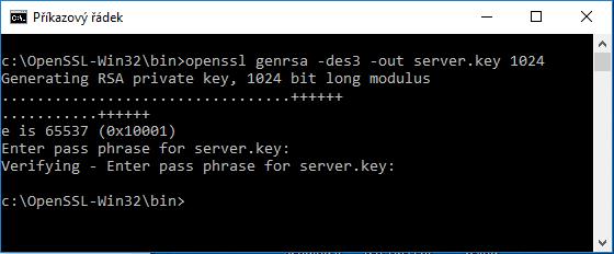 Heslo můžete použít libovolné, ale poznamenejte si ho. V dalších krocích ho sice z klíče odstraníte, ale budete ho k tomu potřebovat. Vytvoří se soubor server.