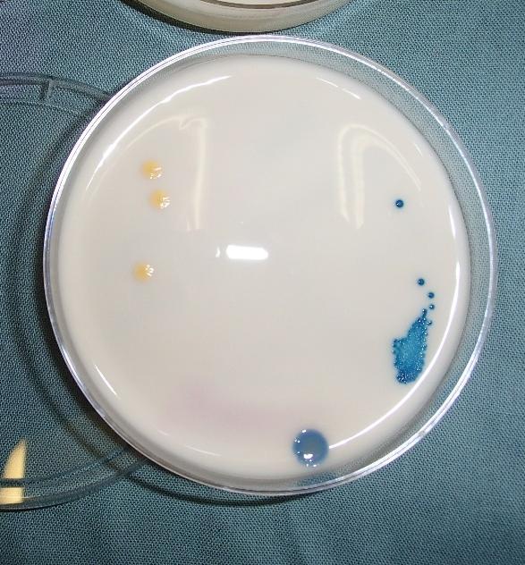 UV-C