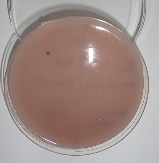UV-C