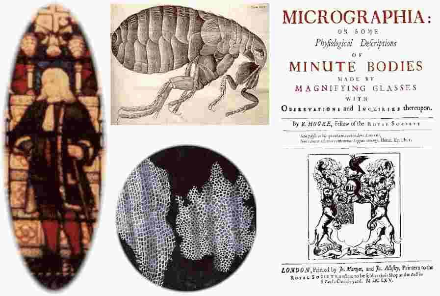Micrographia: or some Physiological Descriptions of Minute Bodies Rok vydání 1665