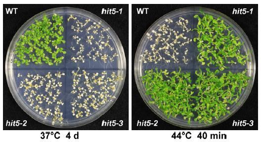 Update 2017 Wu J-R et al.