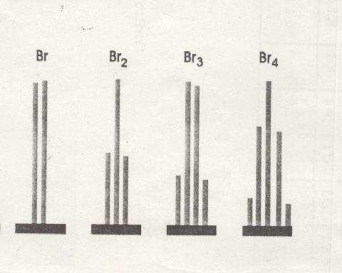 Cl = 3 : 1 79 Br :