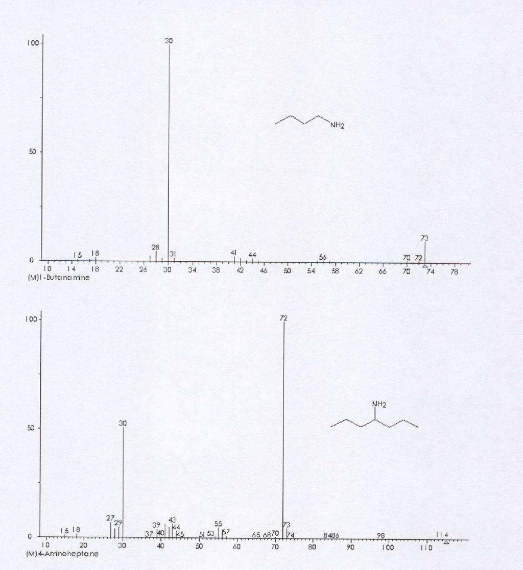 1 N: lichá molekula, sudé ionty α štěpení: m/z 30 H 2 C=N + H 2 1 N: lichá