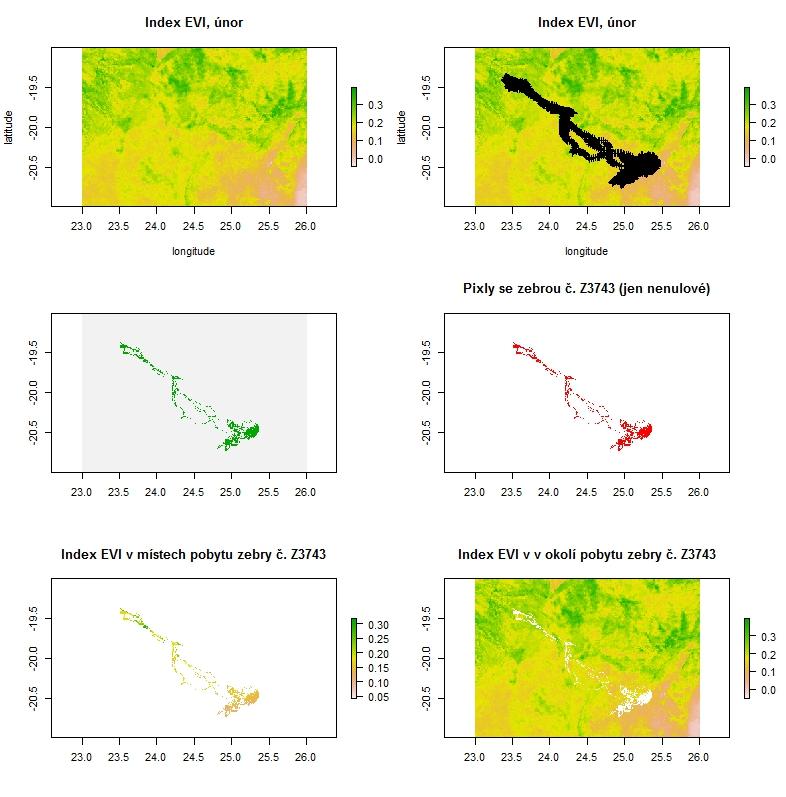 Výběr hodnot z modisovského rastru v místech, kde se nacházela jedna ze zeber - pro ukázku je zde vybrán rastr s hodnotami indexu EVI v jednom únorovém dni - a místa výskytu dané zebry celkem za celý