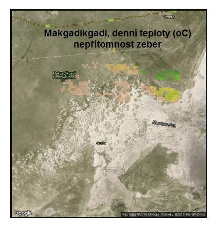 Denní teploty v Makgadikgadi v době přítomnosti zeber