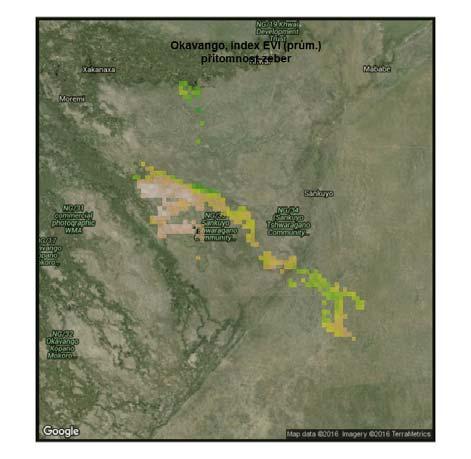 Index EVI v Okavangu v době přítomnosti zeber