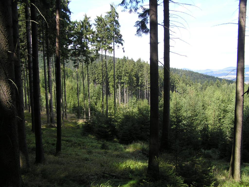 Horské