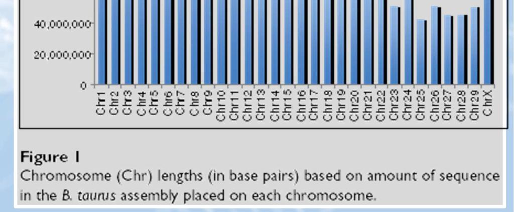Genome Biology 2009, 10:R42 Our assembly of the B.