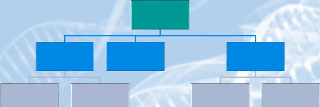 DNA jádra (3 Gb) Geny a sekvence ve vztahu ke genům (900 Mb) DNA kódující trna, rrna