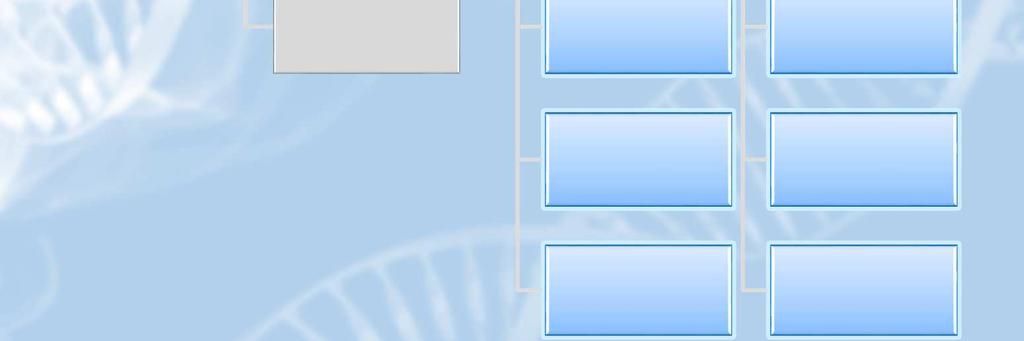 fragmenty LTR elementy Satelitní DNA (centromera) Introny, 5 a 3 nekódující oblasti