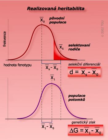 G = d. h2