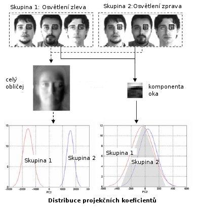 Obrázek 6.7: Vliv osvětlení na LDA a komponentní LDA Převzato a upraveno z [28]. Pokud je dána sada N trénovacích obrázků {x 1, x 2,..., x N }, je možné získat sadu LDA transformačních matic.