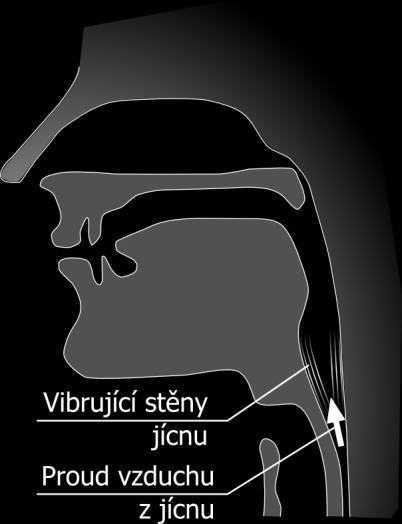 Není proto jednoduše možné mluvit ani šeptem. Při hlasové rehabilitaci a nácviku esophageálního hlasu pacient trénuje techniku vytváření zásoby vzduchu v jícnu (esophagus).