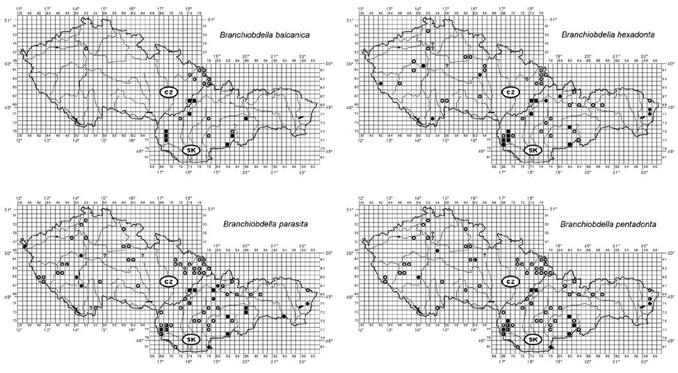 Subchev М., P. Dolejš & V. Kilmajerova Fig. 1. Distribution of Branchiobdella parasita, B. pentadonta, B. hexadonta and B.