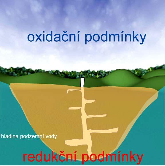 Antropogenní ovlivnění oxidační