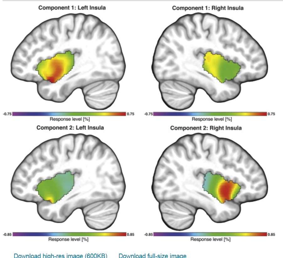 Chuť v inzule (Dalenberg 2015, Functional specialization of the male insula