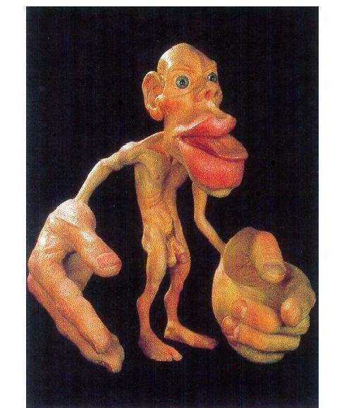 Homunculus SOMATOTOPICKÉ USPOŘÁDÁNÍ