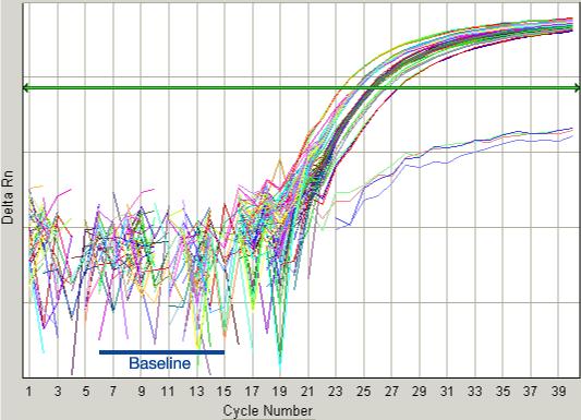 Kapitola 6 Analýza výsledků kvantifikace Nastavení pozadí a prahu Správné nastavení pozadí (Baseline)