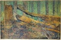 Poprvé se Váchal dostal na Šumavu v roce 1905, kdy se, už jako začínající výtvarník pobývající v Praze, vypravil se svým malířským náčiním na téměř 300 kilometrů dlouhou pěší cestu z Prahy přes