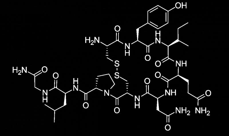 Významné oligopeptidy: Oxytocin, vasopresin