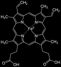 kov) Fe 2+ :