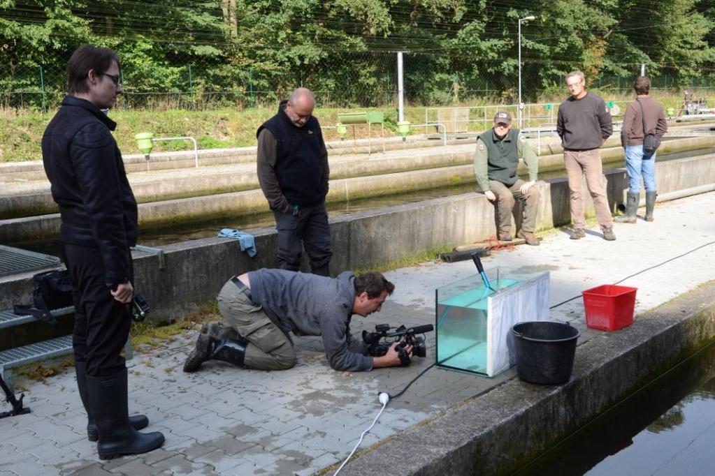 o spolupráce při natáčení dokumentu o ramsarské lokalitě Podzemní Punkva Foto 18 - Natáčení pstruha potočního (foto: L.
