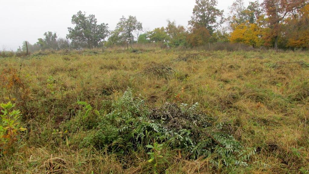Ostrov u Macochy, Holštejn, Vilémovice Foto 4 - závrt Společňák (foto: M.
