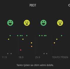 Pokud zvonění budíku neodložíte, bude režim Nerušit deaktivován. 3.13. Pocit Pokud trénujete pravidelně, může být pocit zaznamenaný po tréninku důležitým indikátorem vaší celkové fyzické kondice.