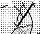 Schematic geological map of the eastern margin of the Bohemian Massif (legend is same as in fig.