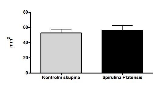 Graf 4 : Stereologická analýza velikosti plochy VCAM-1 barvení.