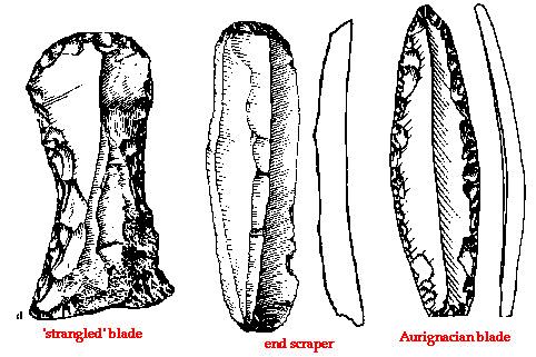 prokazatelně patřila anatomicky modernímu člověku.