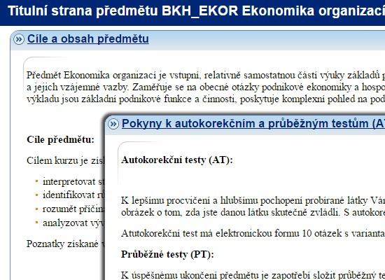 Ekonomika organizací doc Ing Bc Petr Suchánek, PhD http://elportalcz/katalog/esf/bkh_ekor E-learning je v tomto kurzu bohatě využíván Interaktivní osnova